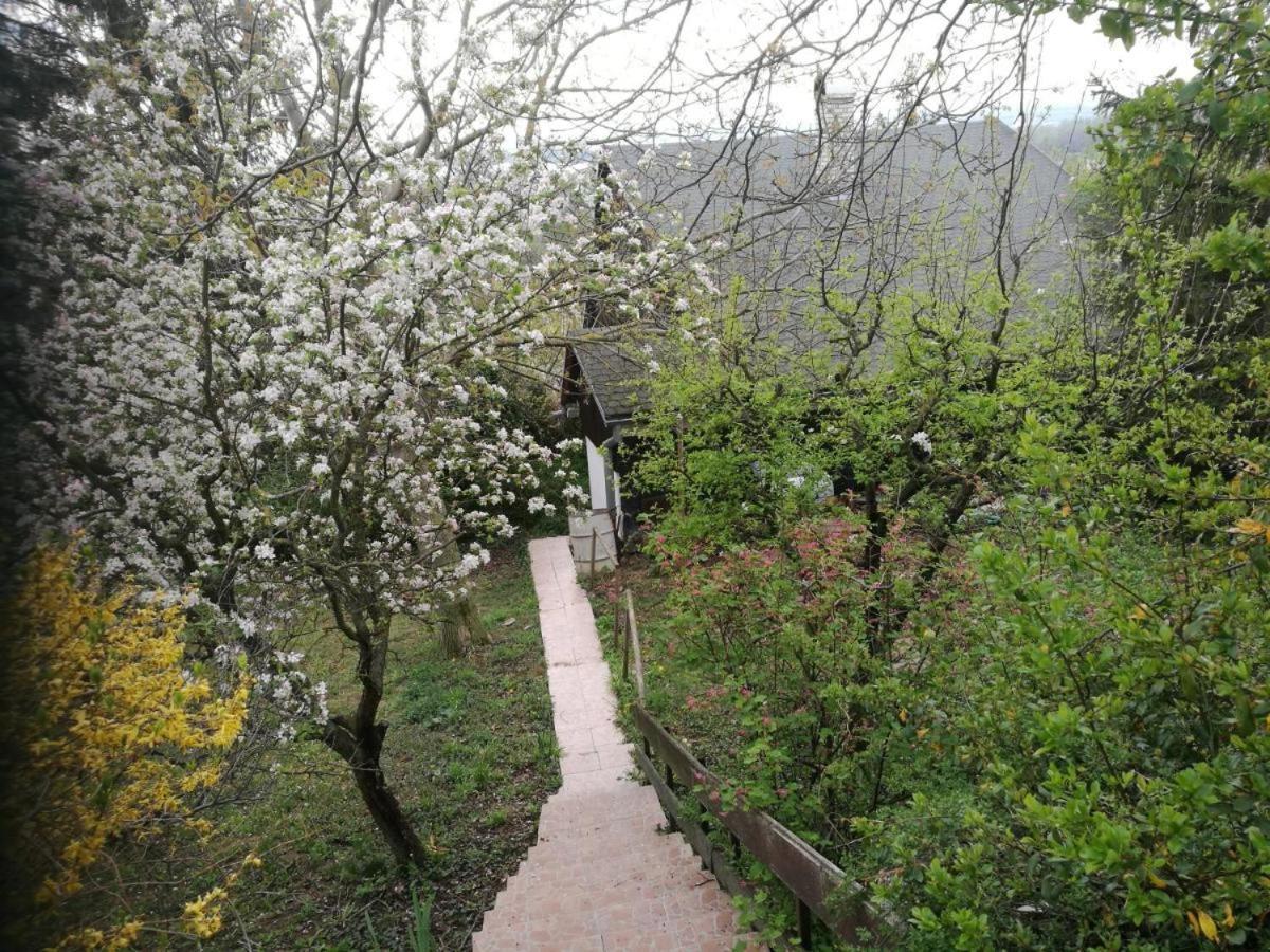 Sunset House Piestany Cervena Veza Appartement Banka Buitenkant foto