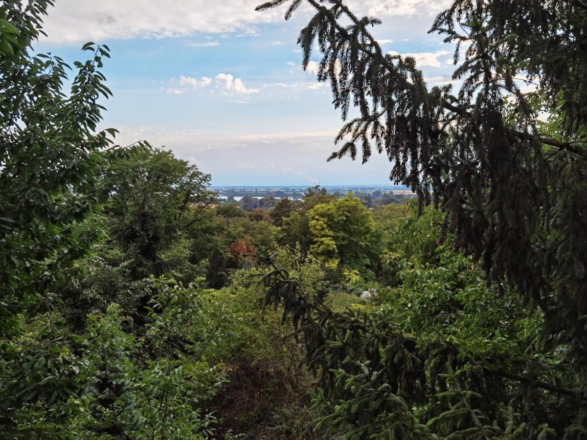 Sunset House Piestany Cervena Veza Appartement Banka Buitenkant foto